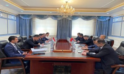 Çin Halk Siyasi Danışma Konseyi Milliyetler ve Dinler Komisyonu Başkan Yardımcısı ile görüşme
